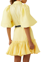 Sophie Bishop Sleeve Mini Dress